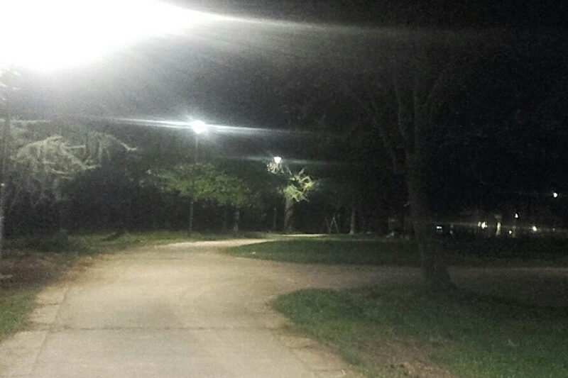 Baka (77) se izgubila u Zvezdarskoj šumi: Stupila u kontakt sa sinom, pa nestala – Psi tragači i dronovi na terenu