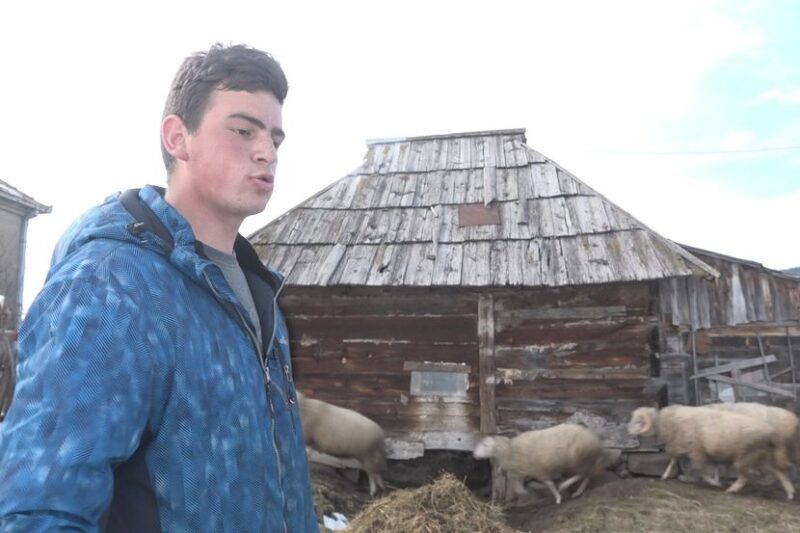 Tužan dan za mladog srpskog seljaka: Luka Crepuljarević objavio sliku, njegove reči kidaju dušu